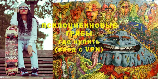 мдпв Алзамай