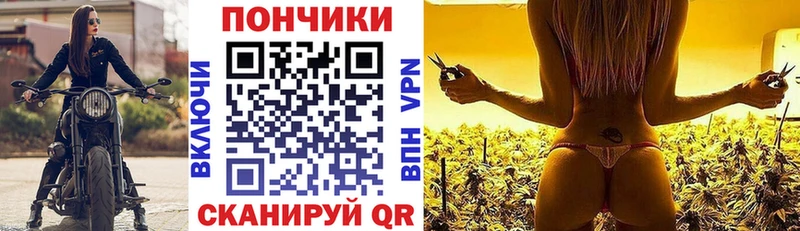 как найти закладки  Ардон  Бошки марихуана Bruce Banner 